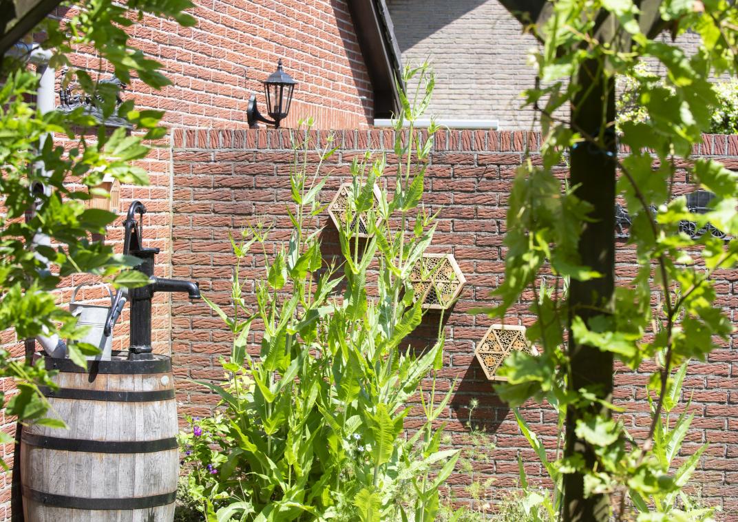 Gemeente Epe Tegeltaxi